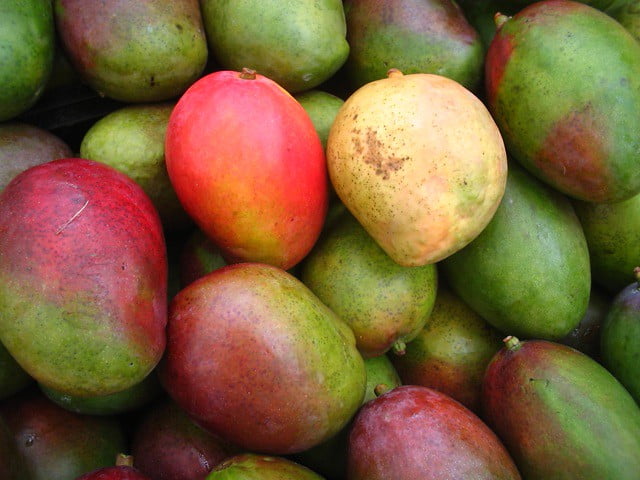 mango petacon