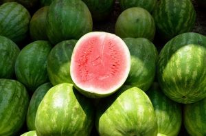 sandia